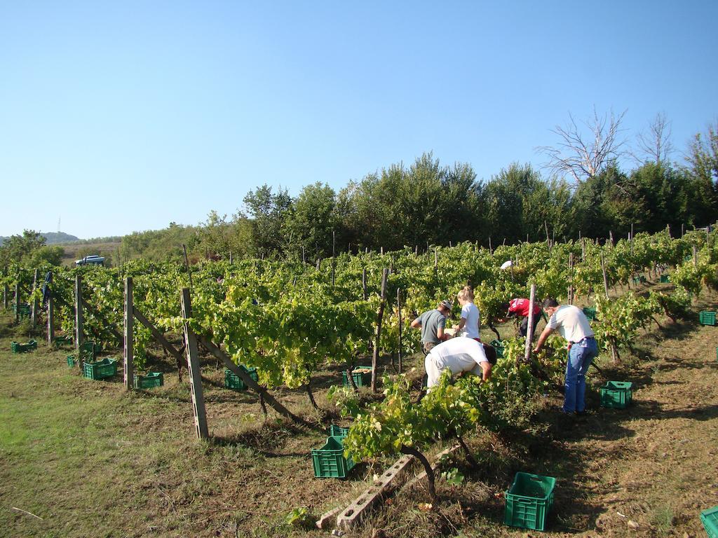 Agriturismo Sottotono Vila Carmignano Exterior foto